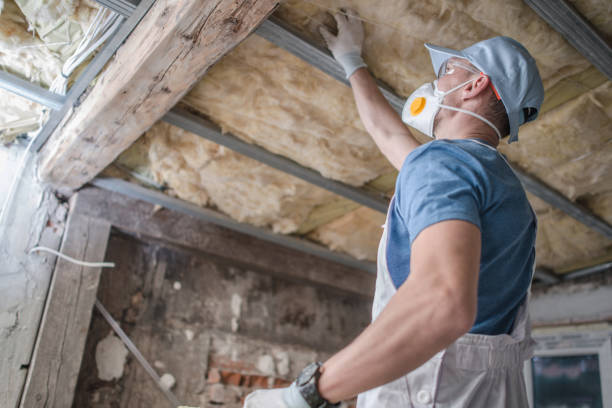 Soundproof Insulation Installation in South Rockwood, MI