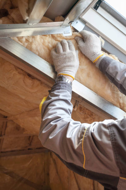 Best Affordable Insulation Services  in South Rockwood, MI