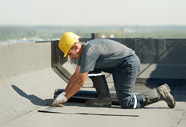 Best Crawl Space Insulation  in South Rockwood, MI