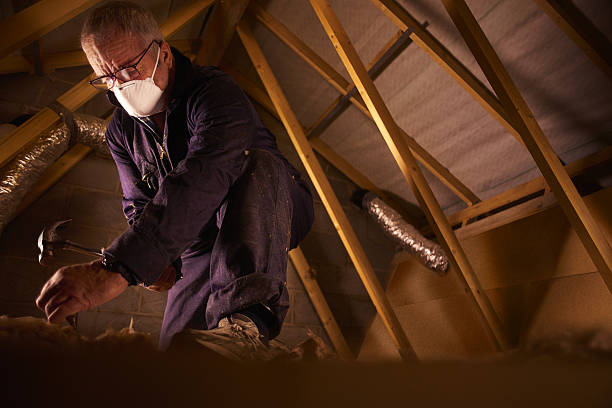 Best Residential Insulation Services  in South Rockwood, MI