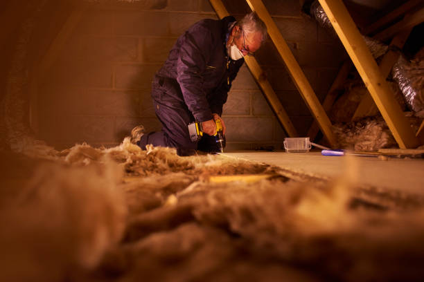 Best Cellulose Insulation  in South Rockwood, MI