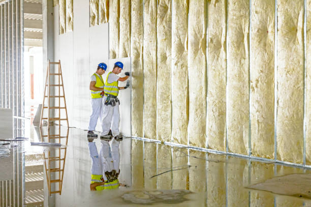 Best Insulation Inspection Services  in South Rockwood, MI